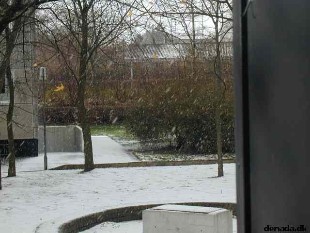 * Image 8
