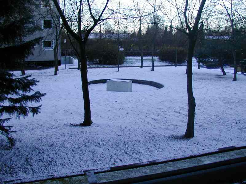 * Image 2