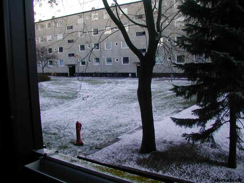 * Image 3