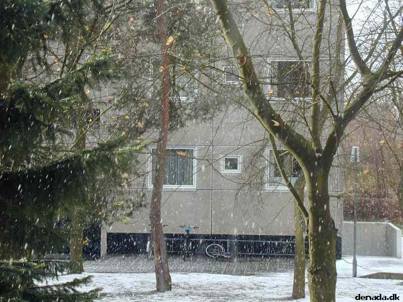 * Image 5