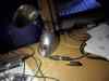 hpim0050.jpg - 2004:12:02 20:00:41