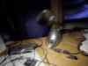 hpim0051.jpg - 2004:12:02 20:00:45