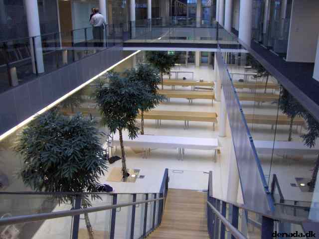 * Image 9