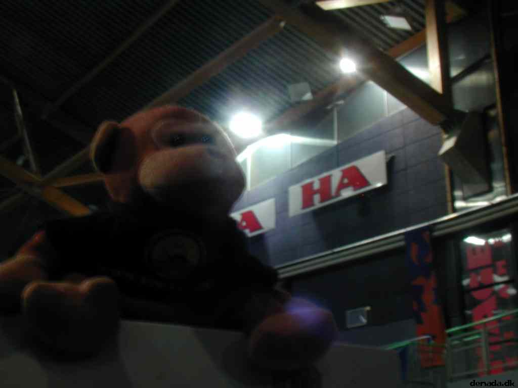 * Image 4