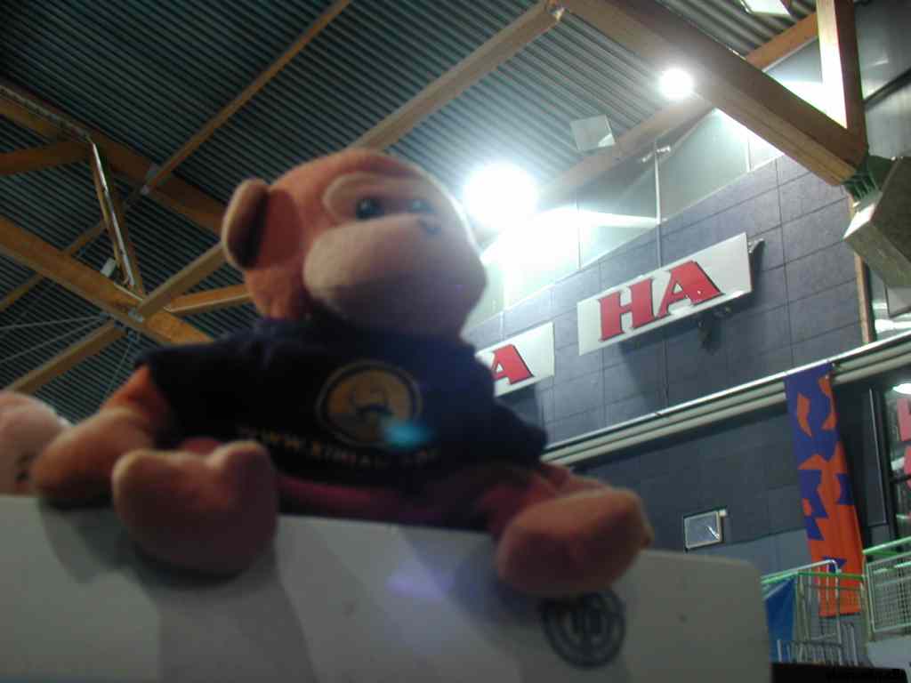 * Image 5