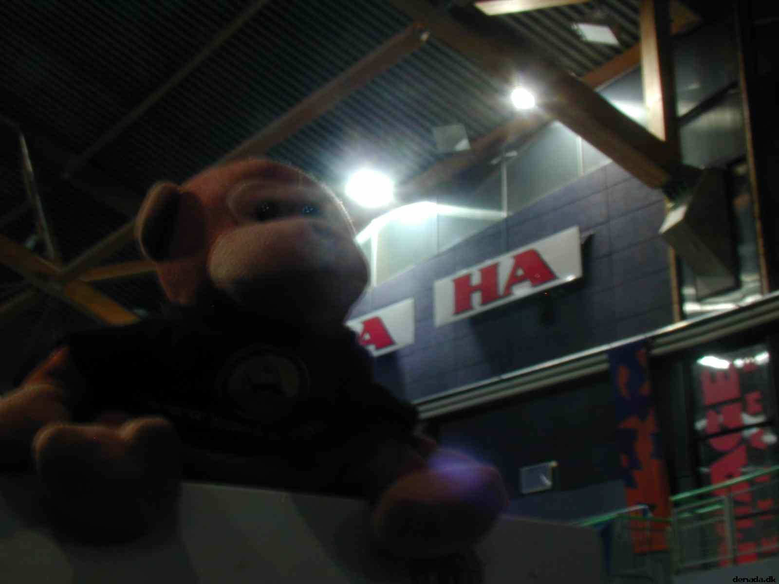 * Image 4