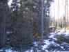 2005_03_27_15_0945.JPG - 2005:03:27 15:09:45