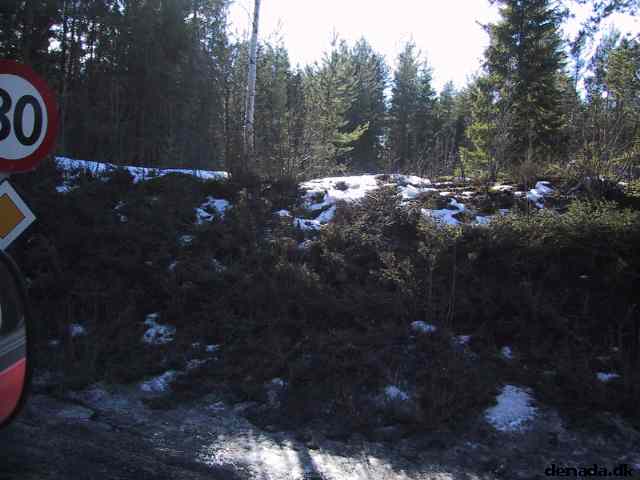 * Image 11