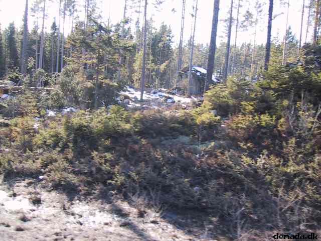 * Image 12