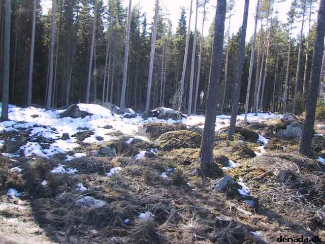 * Image 13