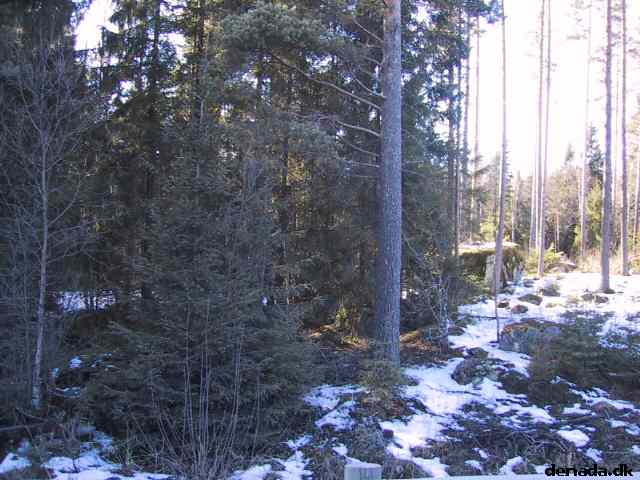* Image 16
