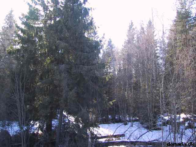 * Image 17