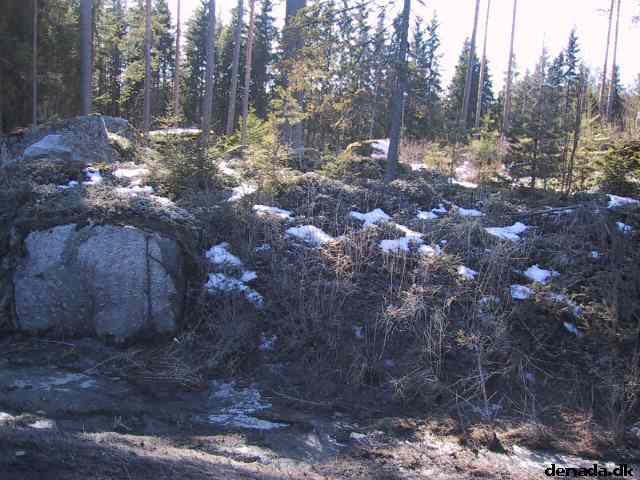 * Image 15
