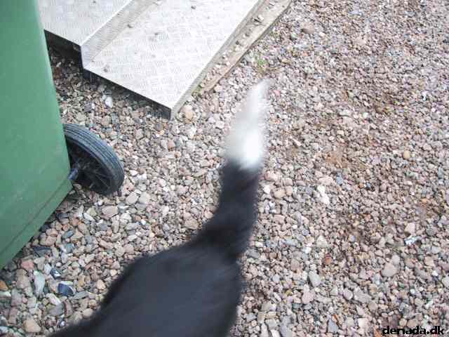 * Image 3