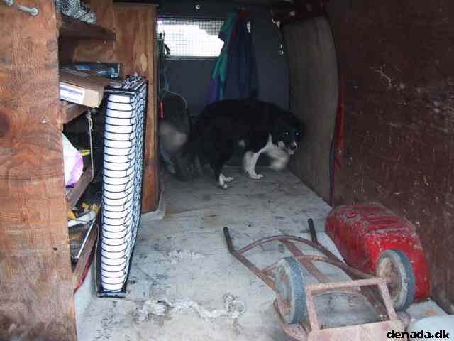 * Image 6