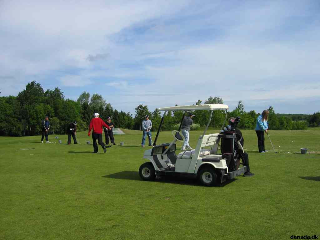 * Image 12