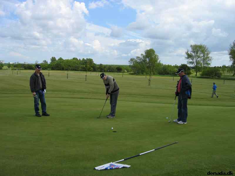 * Image 15