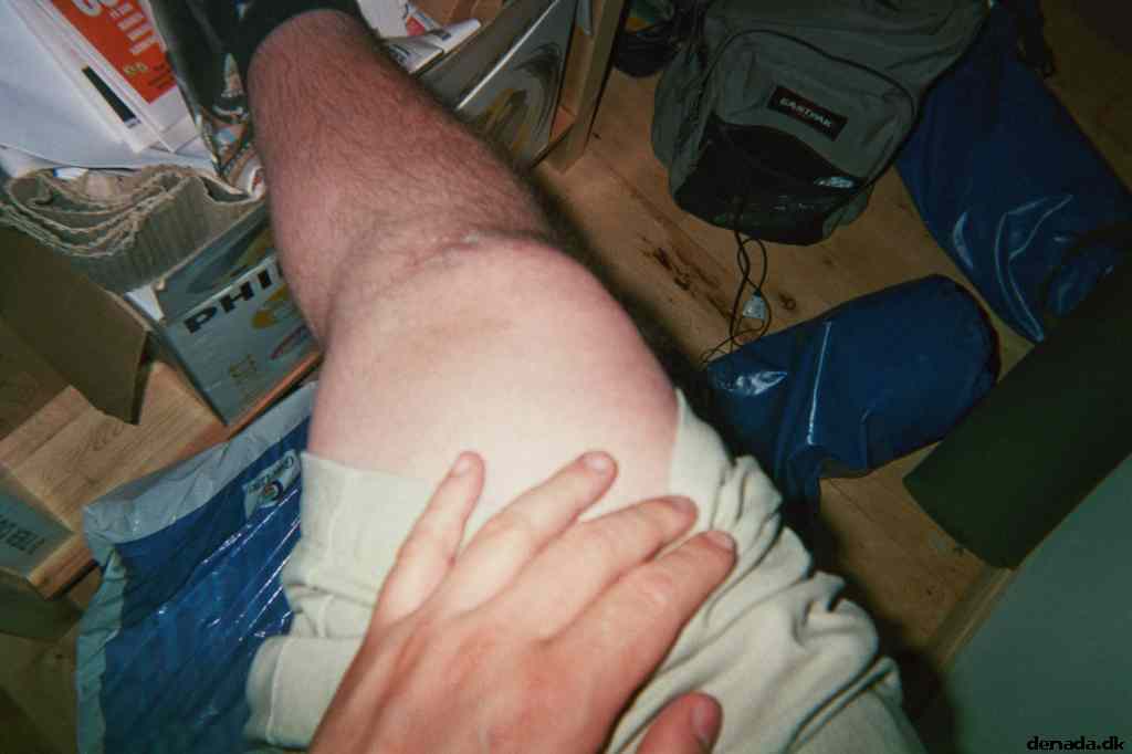 * Image 21