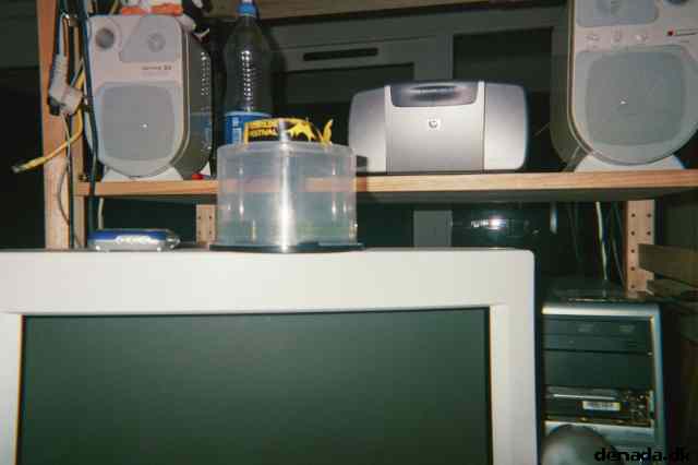 * Image 23