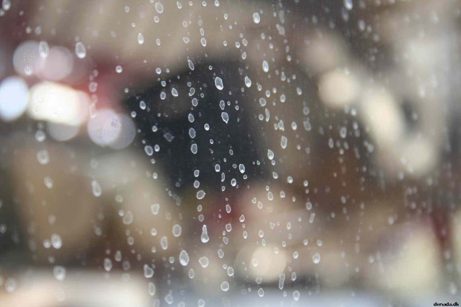 * Image 28