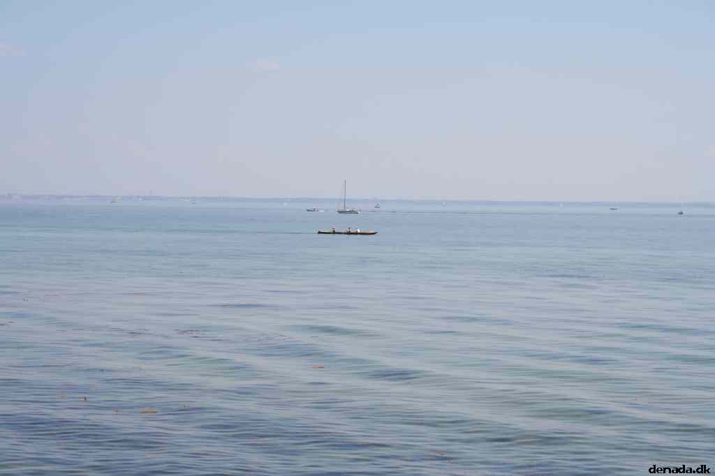 * Image 5