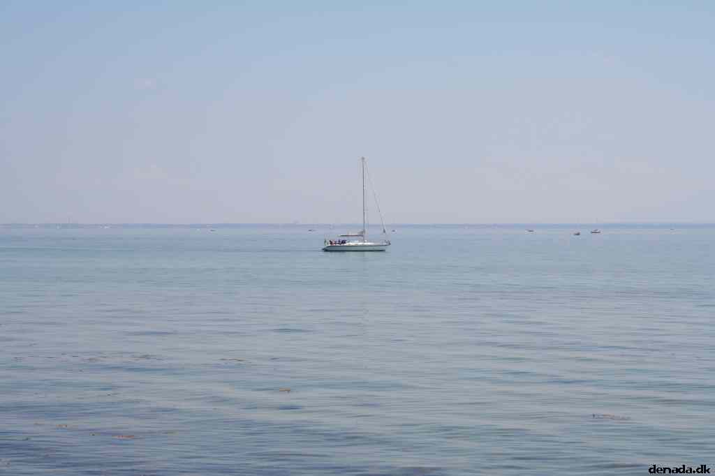 * Image 10