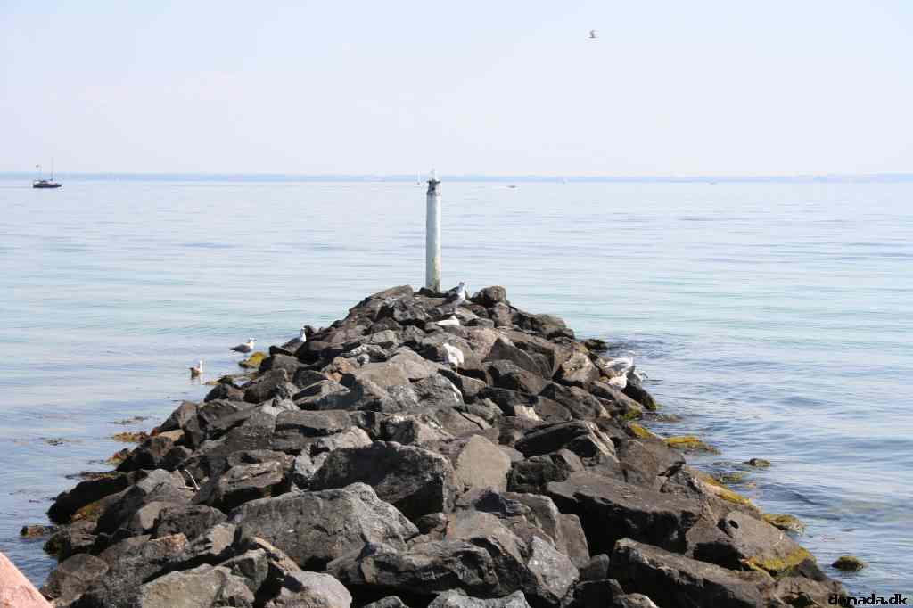 * Image 31