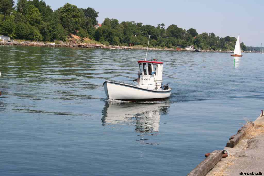* Image 41