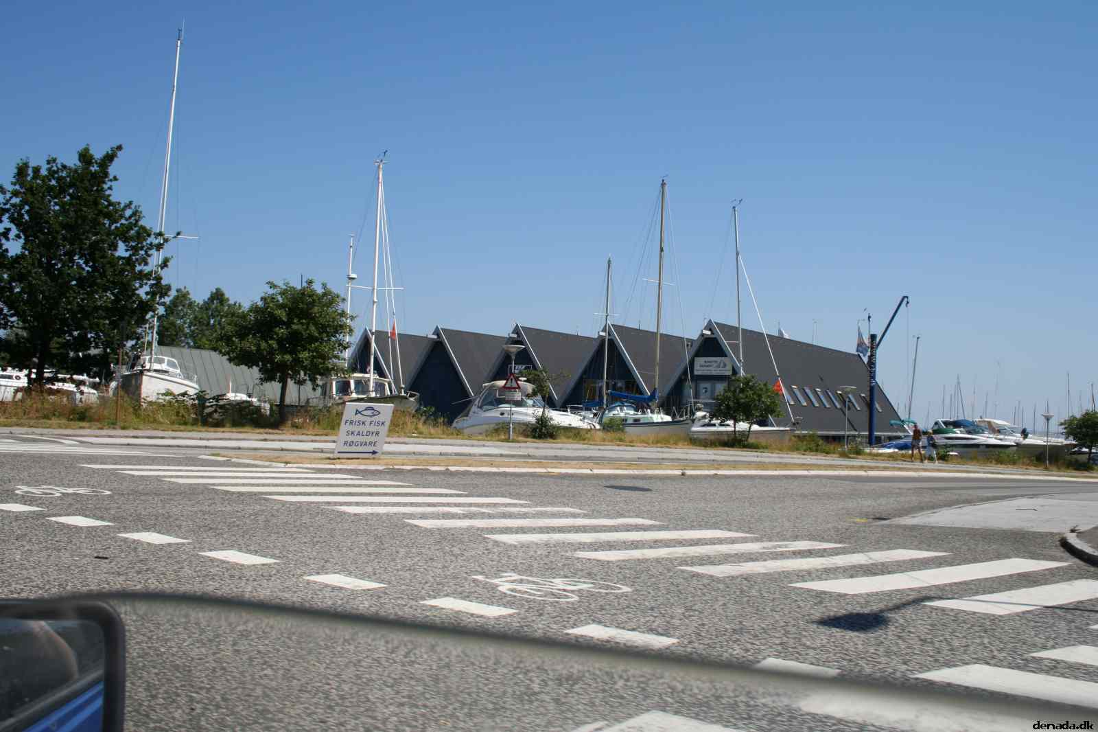 * Image 4