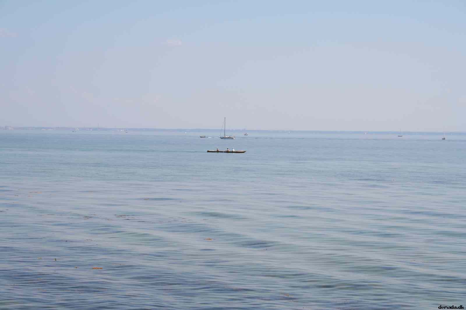 * Image 5