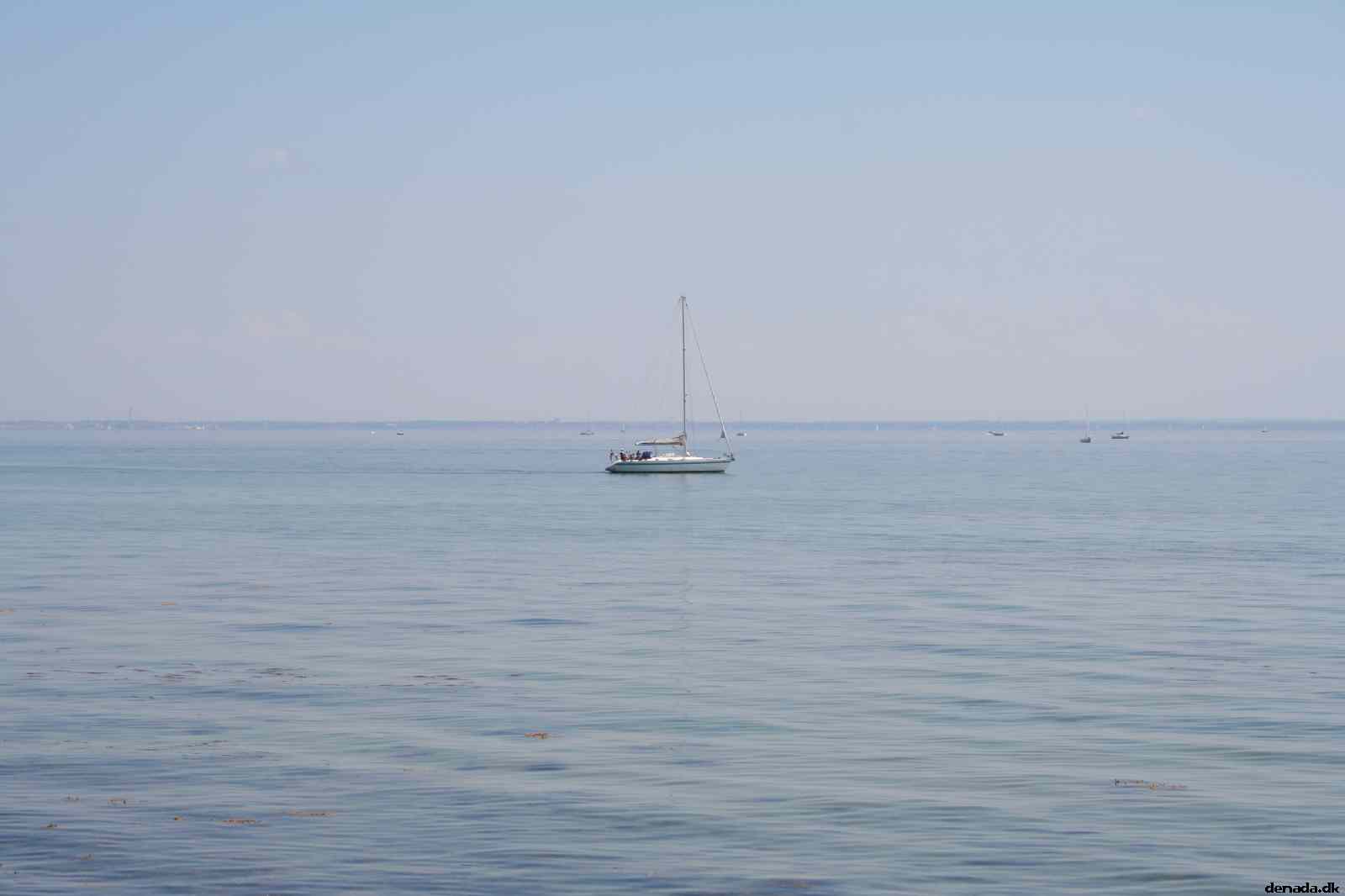 * Image 10