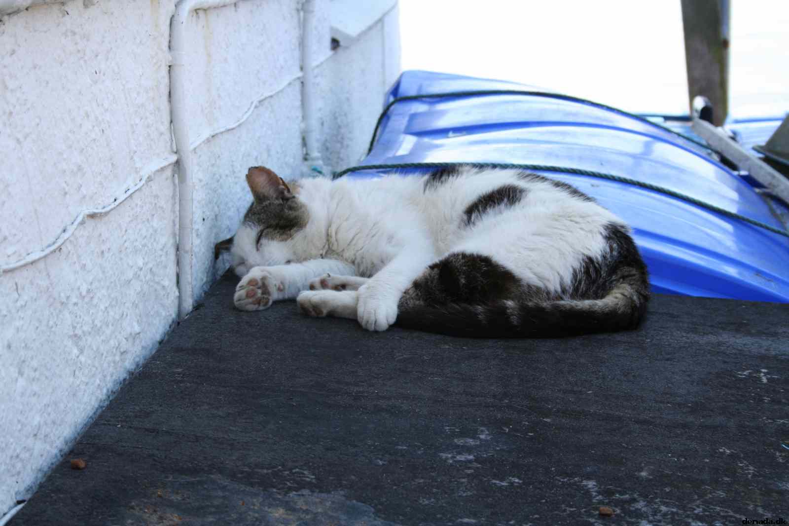 * Image 26