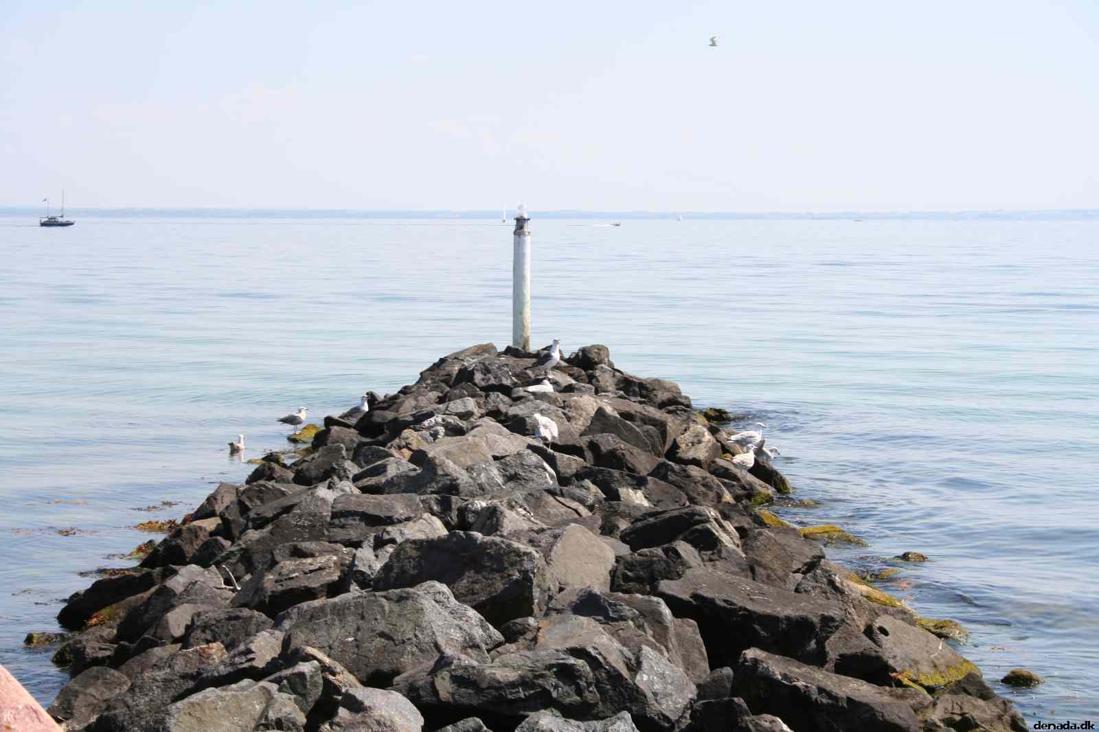 * Image 31
