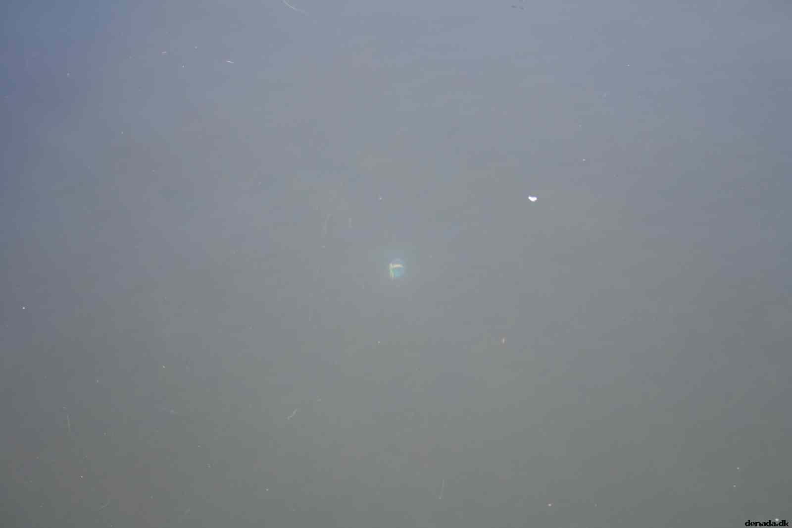 * Image 42