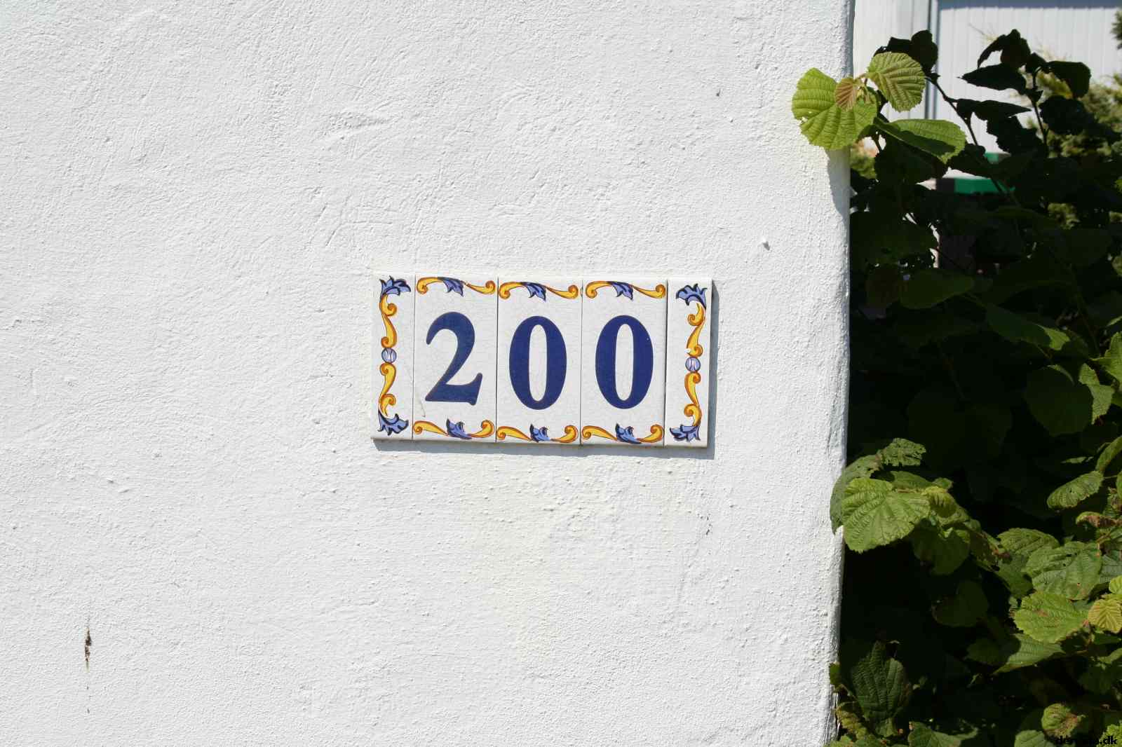 * Image 46