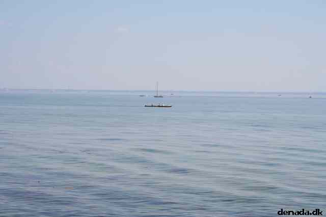 * Image 5