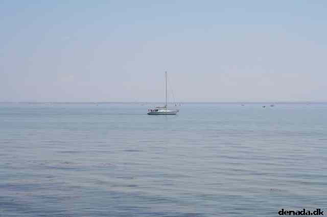 * Image 10