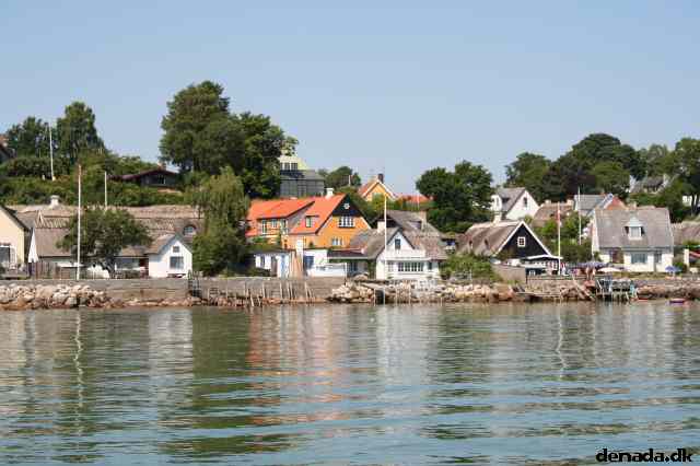 * Image 35