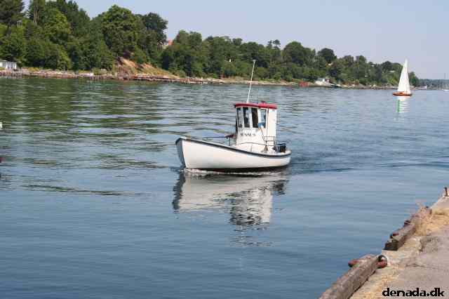 * Image 41