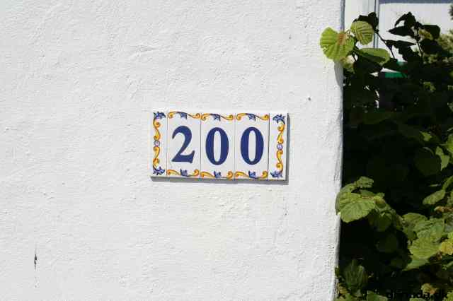 * Image 46
