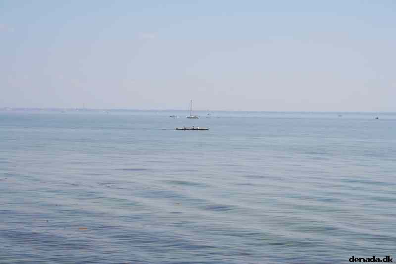 * Image 5