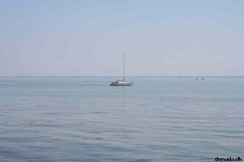 * Image 10