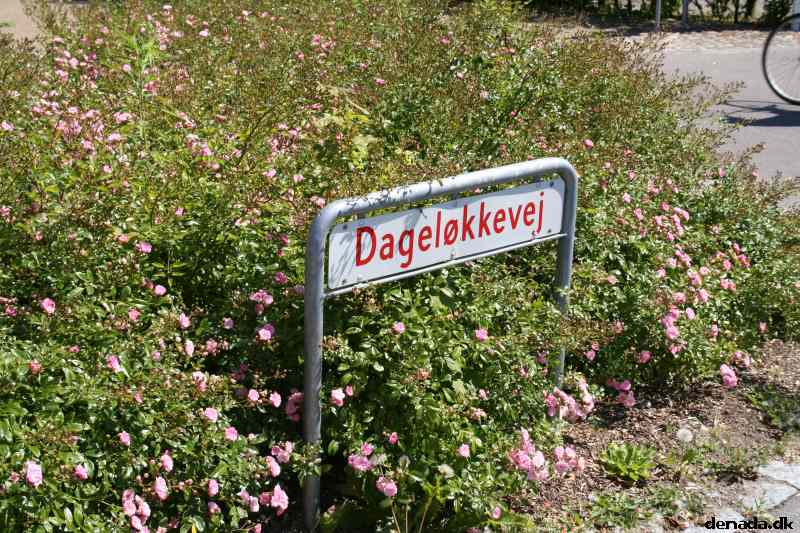 * Image 15