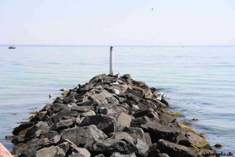 * Image 31