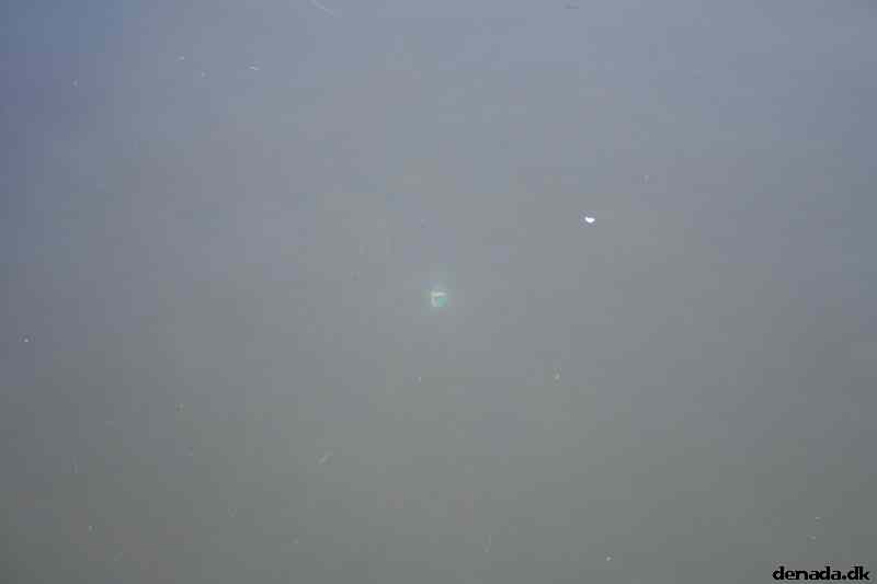 * Image 42