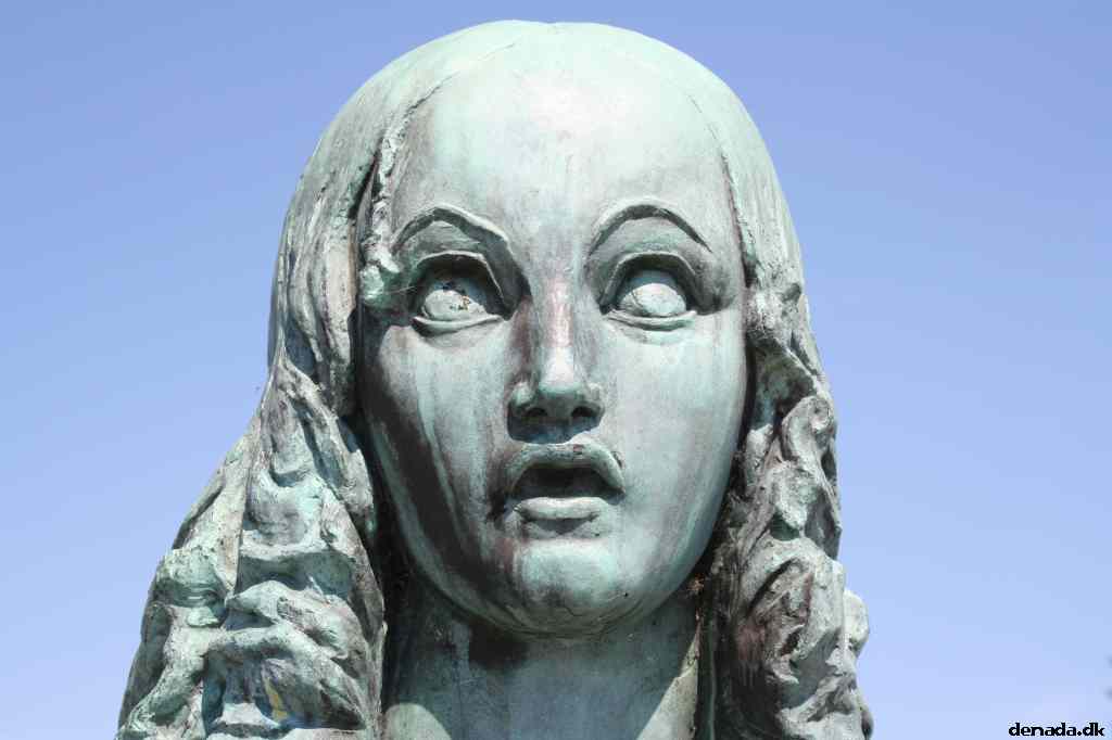 * Image 4