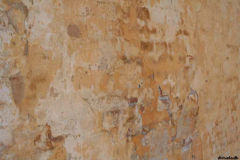 * Image 11