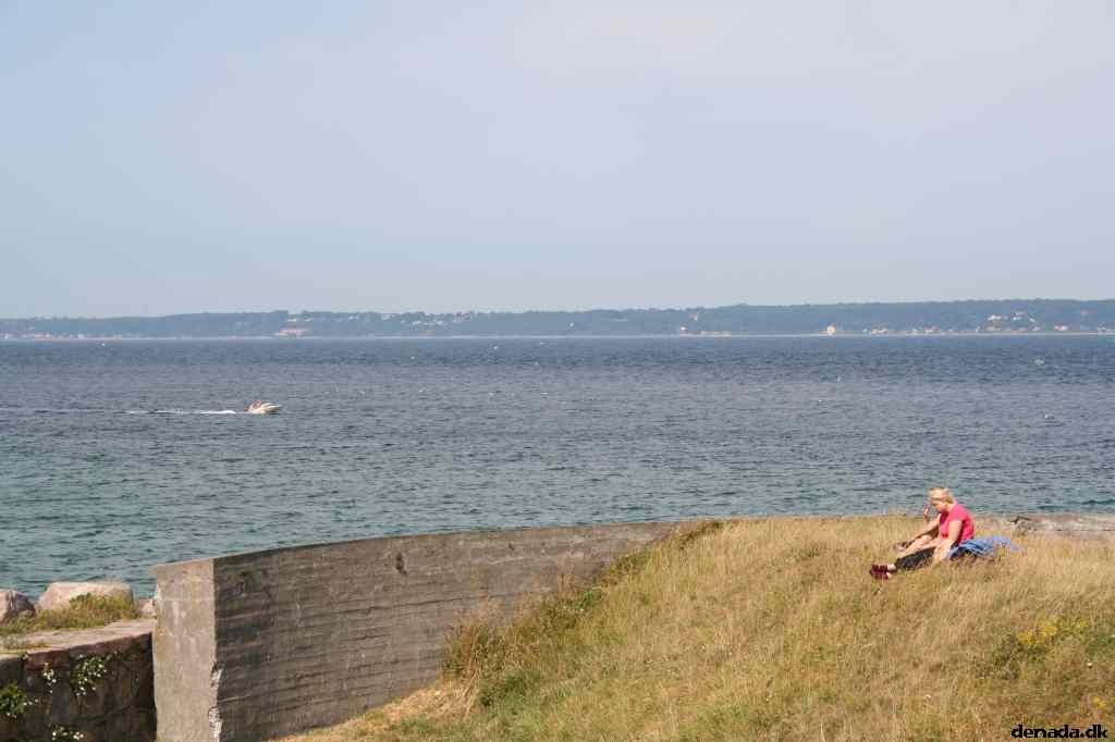 * Image 14