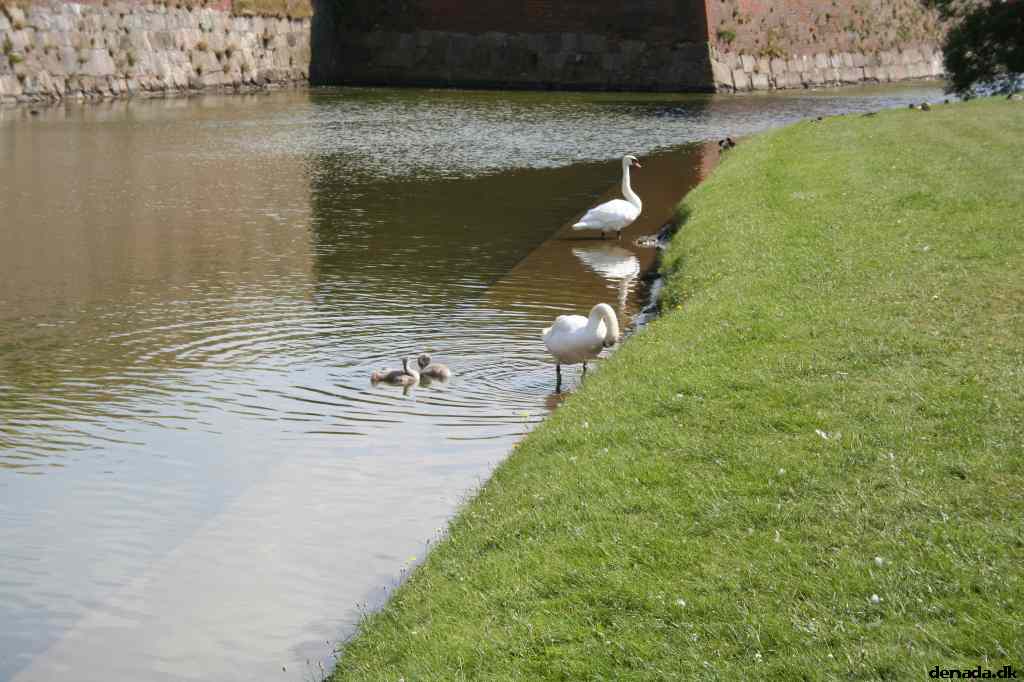 * Image 34