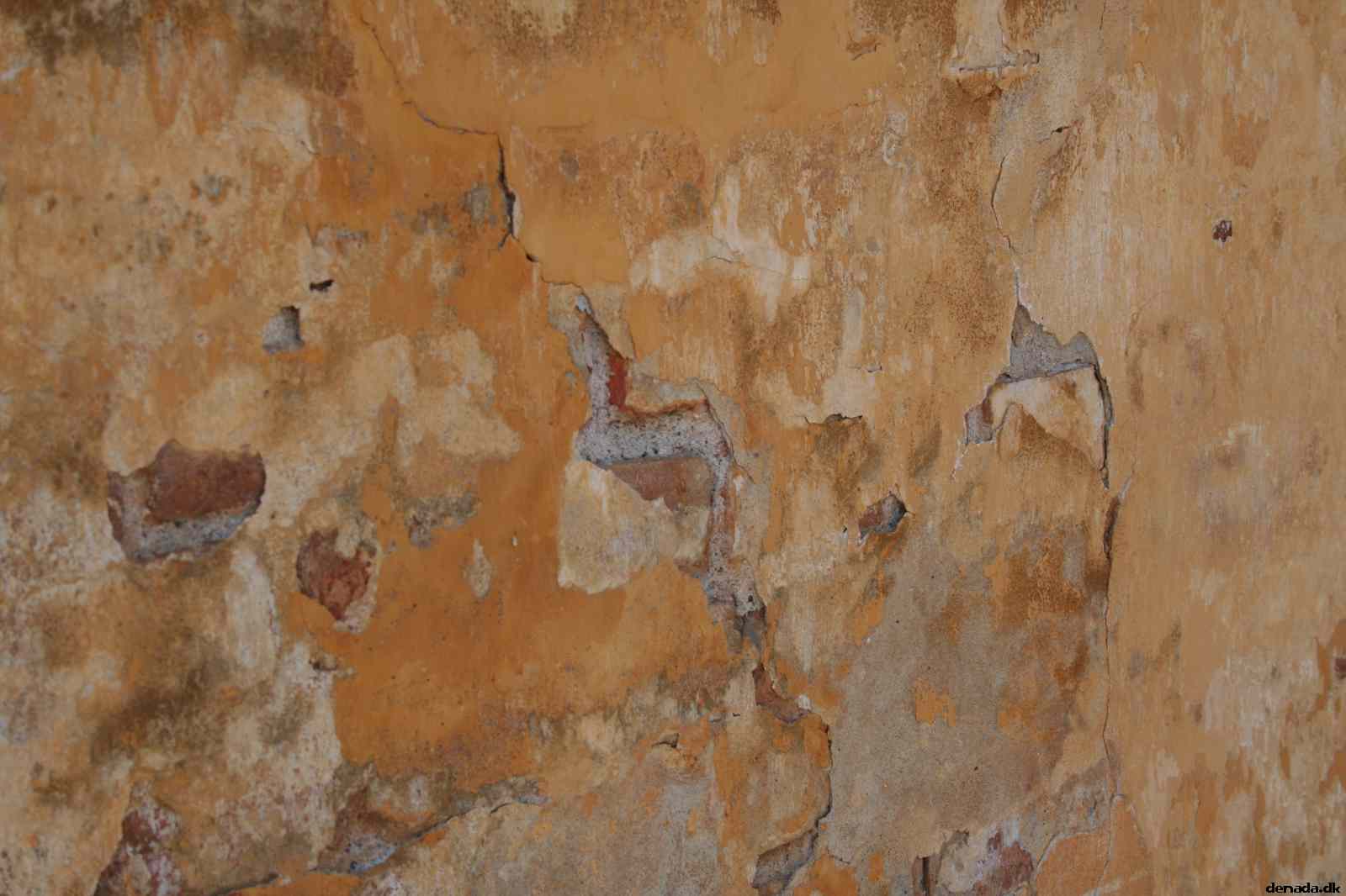 * Image 12
